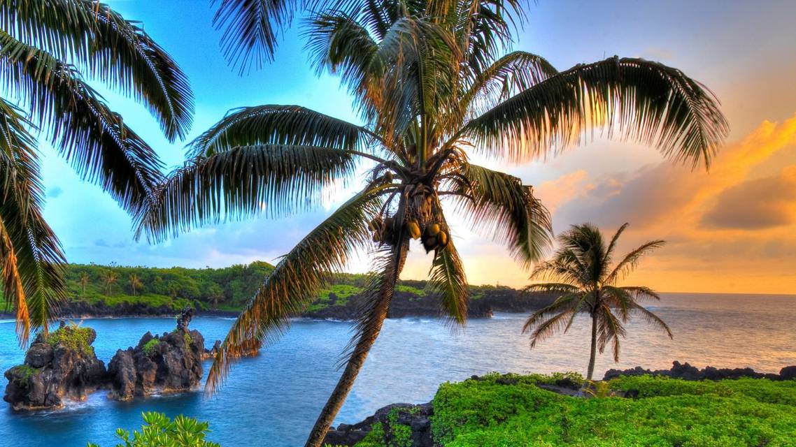 Dr R Rox Anderson Highlights In vivo Microscopy at Maui Derm Hawaii 2025