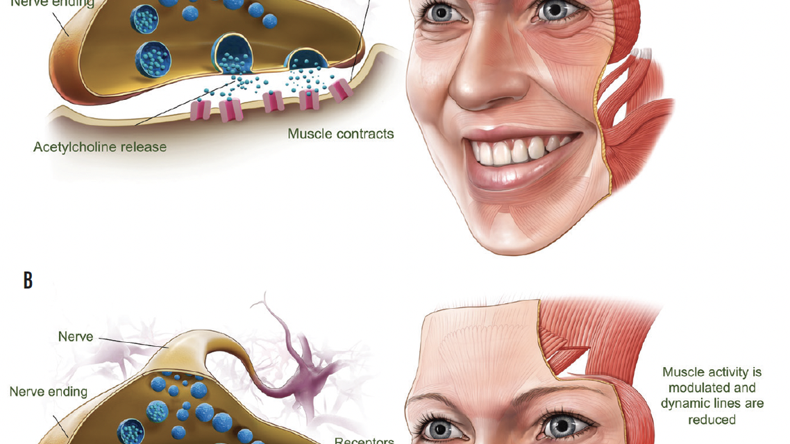 fig-1_1680100245.png