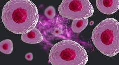 regenerative medicine