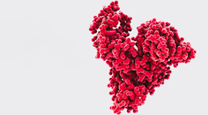 MA1225 Karimi hero image