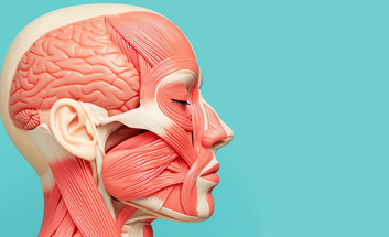 aesthetic medicine surgical