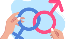 istock genders