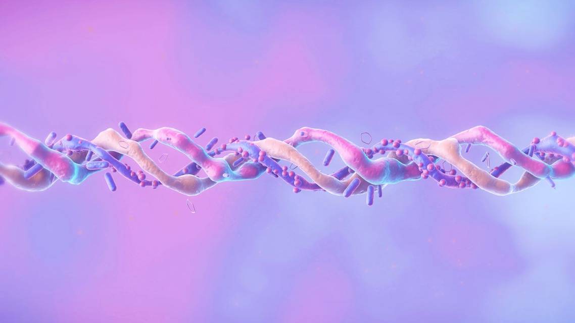 QandA The Rise of Peptides