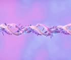 QandA The Rise of Peptides