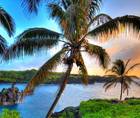 Dr R Rox Anderson Highlights In vivo Microscopy at Maui Derm Hawaii 2025